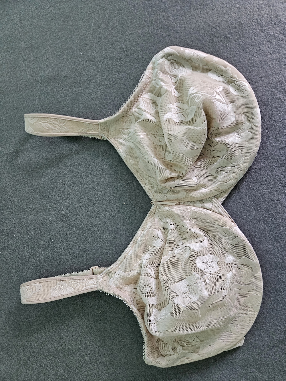 Wacoal Nude Lace Bra with Sheer Overlay and Underwire 38DDD